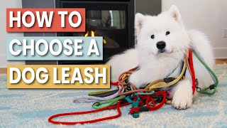 How to Choose a Dog Leash