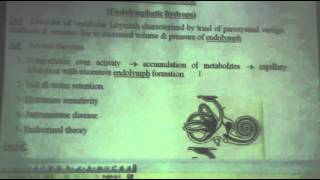 ENT - Dr.Neseem Tal'at - Ear - Hearing Tests