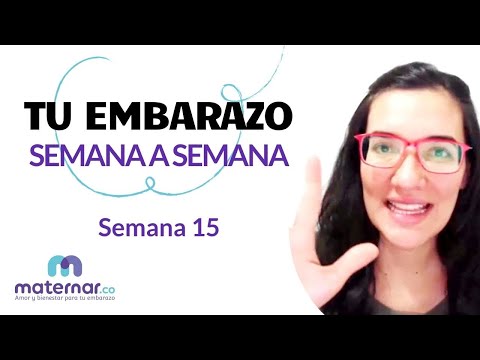 Semana 15 | Tu embarazo semana a semana | Maternar.co
