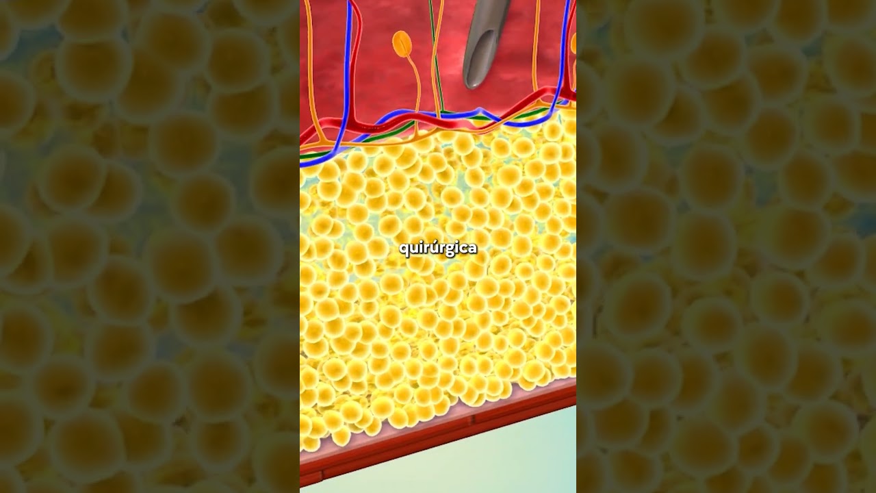 Luis Fernando Lira Menendez-54