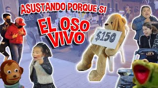 BROMAS en la calle | EL OSO DE PELUCHE VIVO