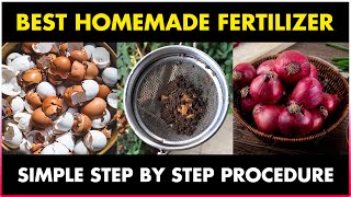How to make Organic Fertilizer using Eggshells, Onion peels and Tea waste at Home for Plants