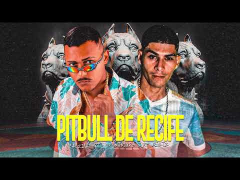 PITBULL DE RECIFE - JOÃOZINHO GT, CR STRONDA, RF BEATZ