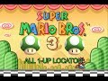 Super Mario Bros 3 All 1Up Locations