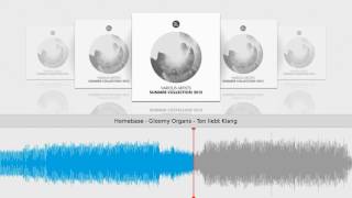 Homebase - Gloomy Organs - Ton liebt Klang