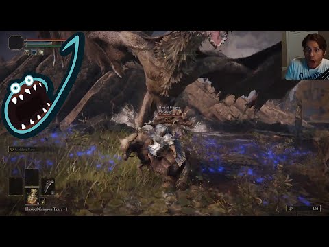 Jerma Streams Elden Ring Part 17 Randomizer With Ster