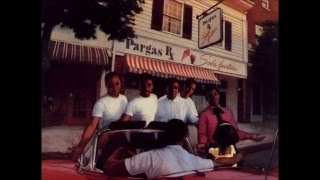 Penguins - Hey Senorita