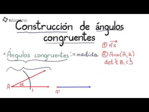 Educatina - Construcción de ángulos congruentes