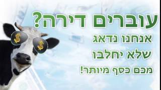 מודעות באמפר ביוטיוב - פרסומות באורך של 6 שניות