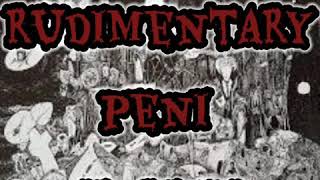 Rudimentary Peni - Inside ( Lyrics Video ) Death Church