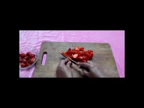 Making Icecream for Lara //Lovely Pets Lara Mia