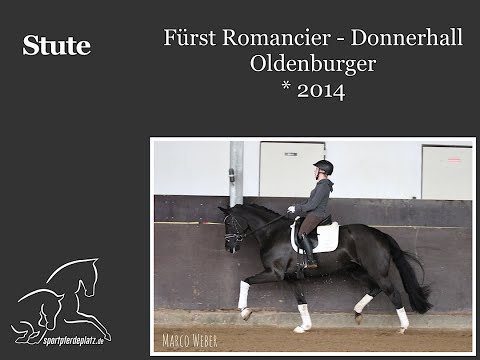 Stute von Fürst Romancier - Donnerhall