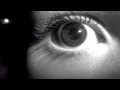 The Postman - American Analog Set