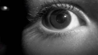 The Postman - American Analog Set