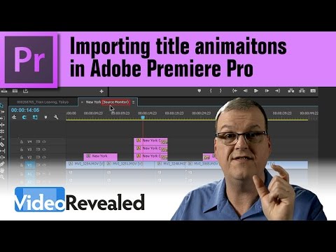 Organizing your media in Adobe Premiere Pro