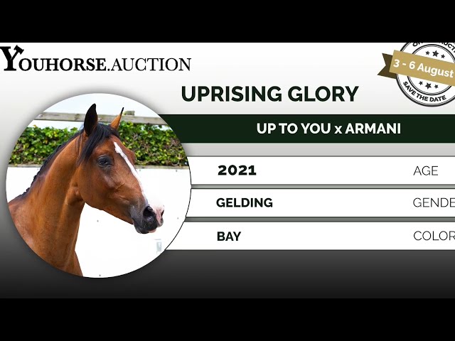 Uprising Glory loose jumping @ home
