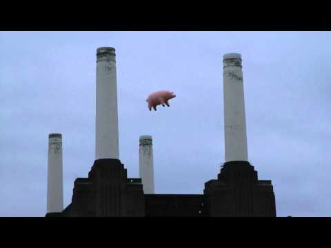 Pink Floyd-Pigs Do Fly(Battersea Power Station  London 26/09/2011)