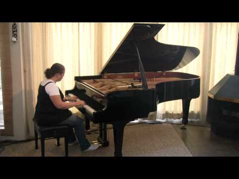 "Melancholy Snowfall" by Michele McLaughlin from "Christmas - Plain & Simple II"