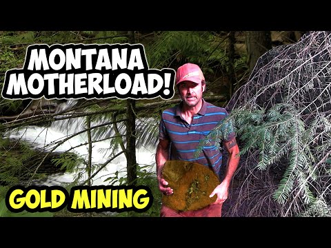 Giant Veins of Gold! Montana Mining 💰