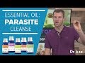 Parasite Cleanse The Best Essential Oils
