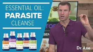 Parasite Cleanse The Best Essential Oils Video
