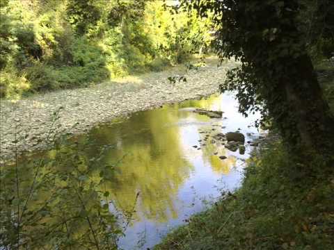 Slaid Cleaves - Live Free