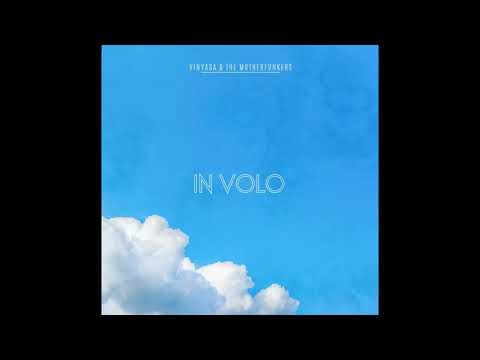 Vinyasa & The Motherfunkers - Diamante