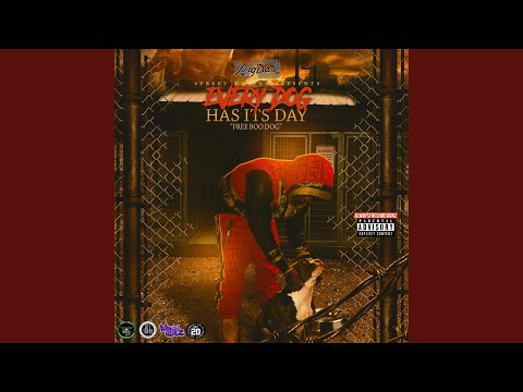 Intro (Miss the Set)