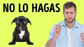 12 Cosas que tu perro odia de ti