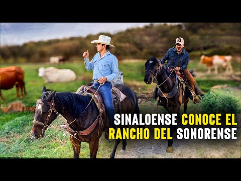 SINALOENSE conoce el rancho del SONORENSE | Las similitudes de los vaqueros del norte de México…