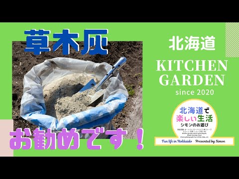 木灰が好きな野菜はどれですか?知っておくべきことはすべて！  庭園