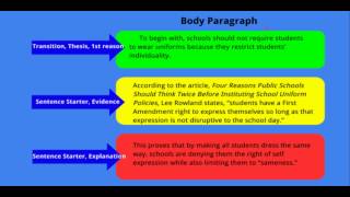 Argument Essay Body Paragraphs