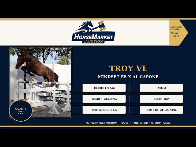 Troy VE