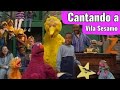 Vila Sesamo Cantando Com A Vila Sésamo