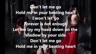 The vampire diaries- Raign-Don&#39;t let me go lyrics