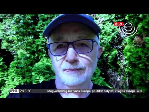 PIRKADAT Breuer Péterrel 2024.06.28.
