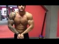 Bodybuilder - Flex