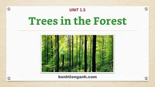 [Unit 1.5] Trees in the Forest - Listening English Through Dictation