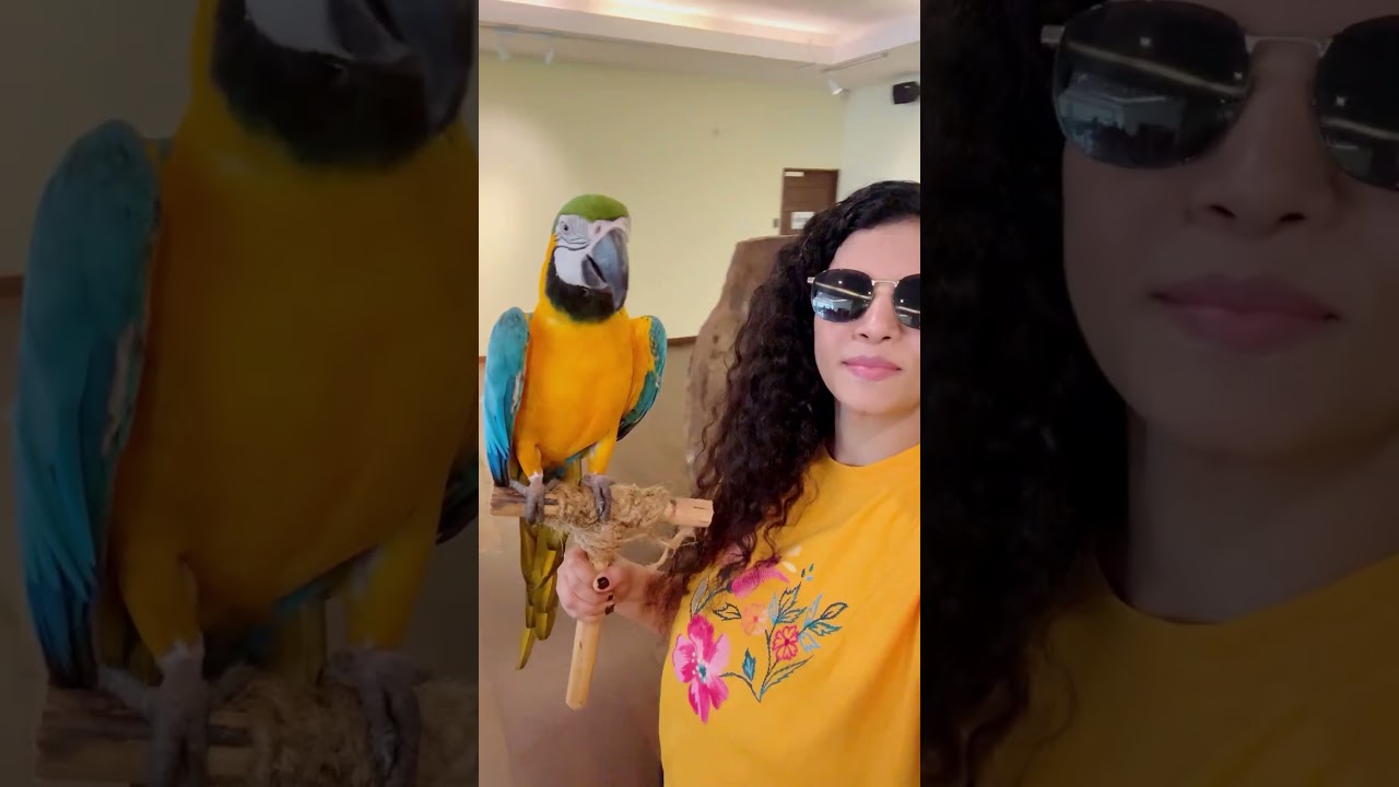 YouTube Short thumbnail