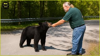 50 Real Life Superheroes Caught on Camera! #21 | Animals That Asked People for Help & Kindness! #42 MQDEFAULT Thumbnail