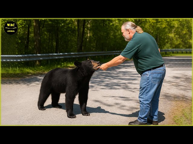 50 Real Life Superheroes Caught on Camera! #21 | Animals That Asked People for Help & Kindness! #42 SDDEFAULT Thumbnail