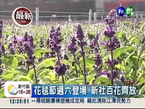 台中新社花毯節 週六給你"好看"!