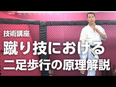 蹴り技における二足歩行の原理解説 【空手道禅道会 技術解説：14 】武道総合格闘技／How To Walk MMA KARATE