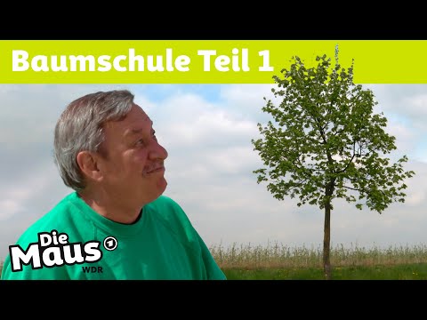 Wie kommen Bäume in die Stadt? | Die Maus | WDR