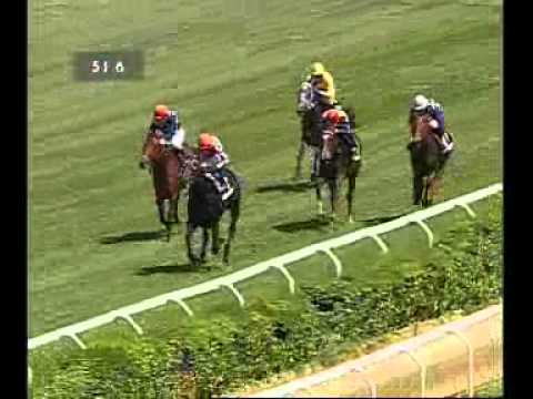 Premio Alessandro Perrone 2013 (LISTED RACE)