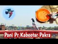 Pani Pr Kabootar Pakra | Hashim Mahmood Pigeons