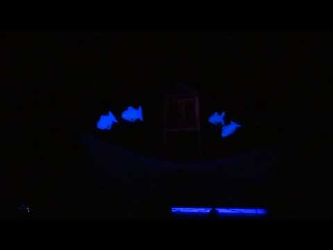 Το Δέντρο που έδινε 2