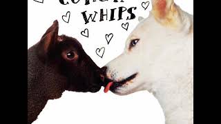 06 ◦ Coachwhips - You Gonna Get It  (Demo Length Version)