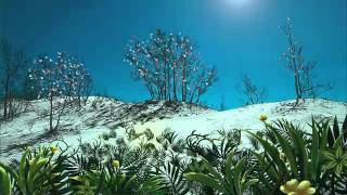 Hummingbird by Imaginary Cities, Music Video