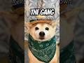 Word On The Street Is YOU MESSED WITH MY GANG ‍ ️ Original